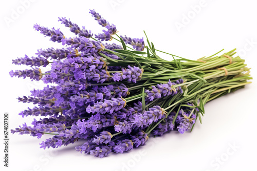 A bouquet of lavender sits isolated on a white surface.
