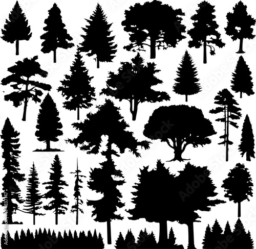 Silhouettes of Pine Trees, Tree and Firs against a White Background. Forest Shapes and Templates for Nature-Themed Vector Designs.