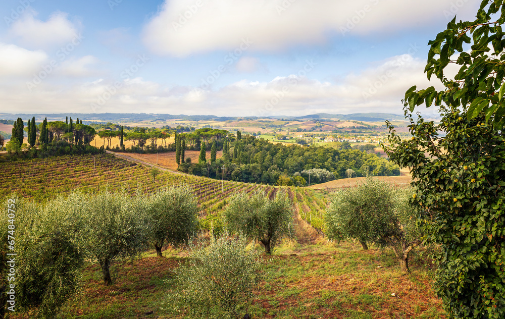 Naklejka premium Landschaft in der Toskana