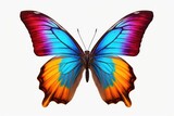 A vibrant butterfly captured on a clean white background. Perfect for adding a pop of color to any design project