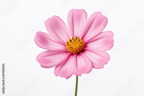 A single pink flower in a vase on a table. Perfect for adding a touch of elegance to any home or office decor