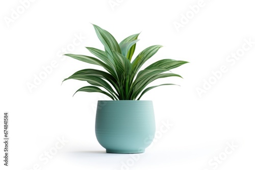 A green plant is displayed in a blue vase on a clean white surface. This image can be used to add a touch of nature and color to any interior design or home decor project