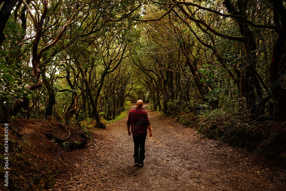 Man in plaid shirt walking inside Bosque de Los Enigmas, Taganana national park, Tenerife, Spain Man in plaid shirt walking inside Bosque de Los Enigmas, Taganana national park, Tenerife, Spain