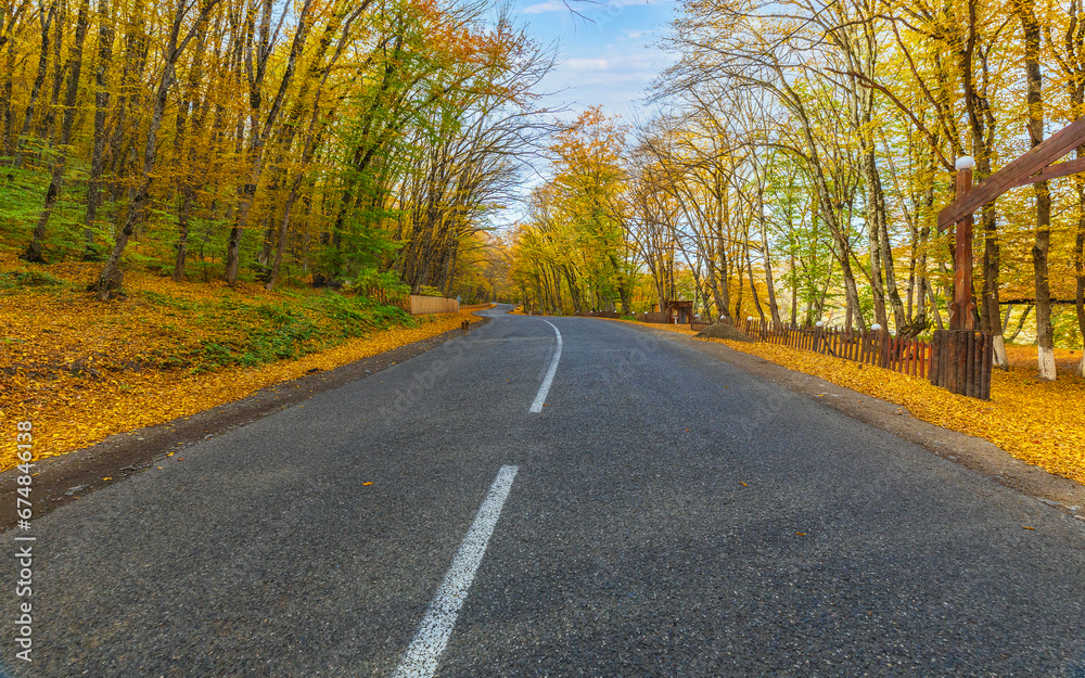 Fototapeta premium Road passing through an autumn forest in the mountains