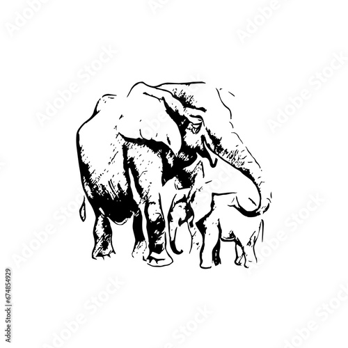 A hand-drawn black and white sketch of a baby African elephant  done in an engraving style. Mother and child concept
