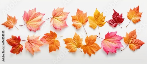 Autumn, fall concept. Blank mock frame and colorful autumn leaves on white background. Flat lay, top view, copy space, vector eps 10 format