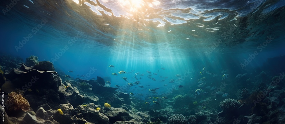 Deep ocean full of life. Underwater coral reef with fish and rays of sun through water surface - obrazy, fototapety, plakaty 