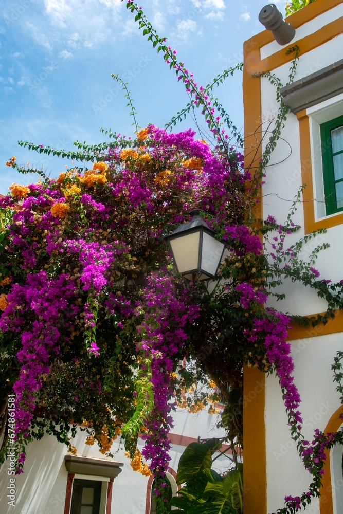 Houses with flowers in the Spanish town of Puerto de Mogán