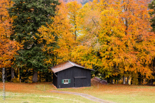 House barn in autumn in the mountains against a background of autumn leaves