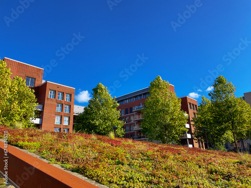 Green rooftop garden with a slope, sloping green roof