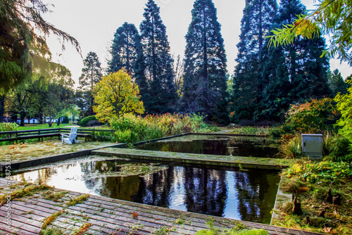 Fototapeta Naklejka Na Ścianę i Meble -  Fantastic of Botanical garden Planten un Blomen: reflections of autumn leaf color in water of pond,  b
