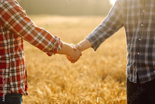 Close-up of two farmers shaking hands in a golden wheat field. Farmers in an agricultural field make an agreement with a handshake. Business concept, agriculture.