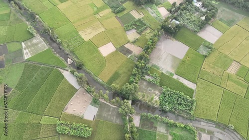 Gorgeous footage of a green undulating field of agricultural land. 4k video. photo