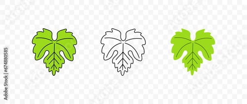 Grape leaf or leaves, plant and nature, graphic design. Vineyard, grape, vine, vine-growing, fruit and wine, vector design and illustration