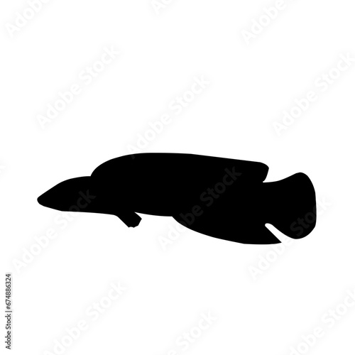 Snakehead Fish Silhouette 