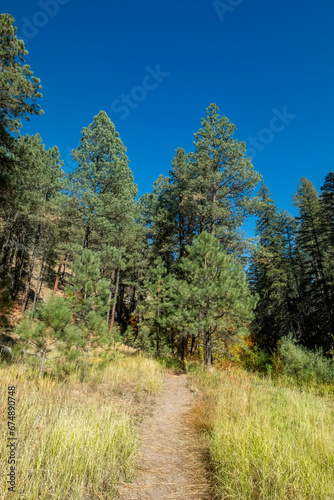 Jemez East River Slot Canyon Trail, New Mexico photo