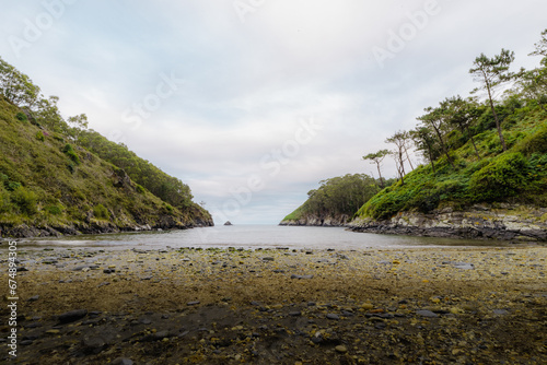 Beach with mountains and vegetation