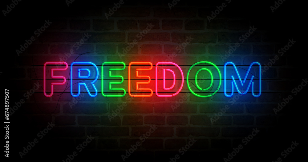 Freedom neon light 3d illustration