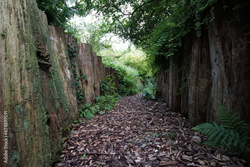 Rindenmulch weg photo