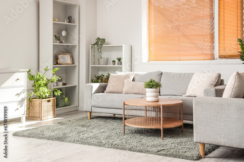 Interior of light living room with grey sofas  table and houseplants
