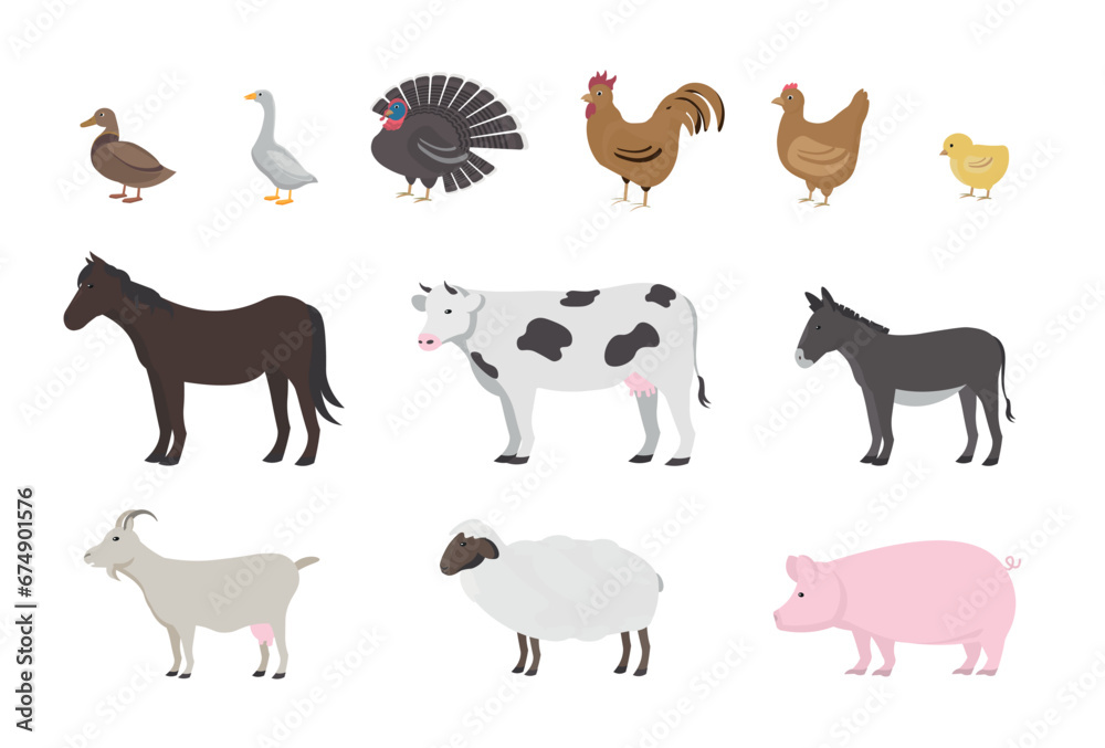 Big farm animals set. vector Flat illustration. farming, agricultural species. 12 design elements. 
