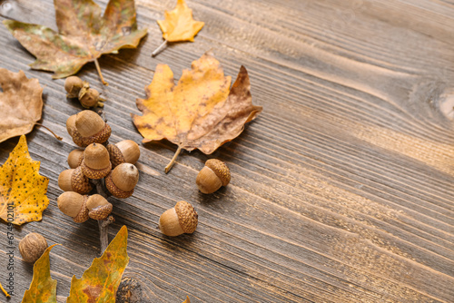 Beautiful autumn leaves with acorns on brown wooden background