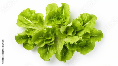 fresh green salad leaves.