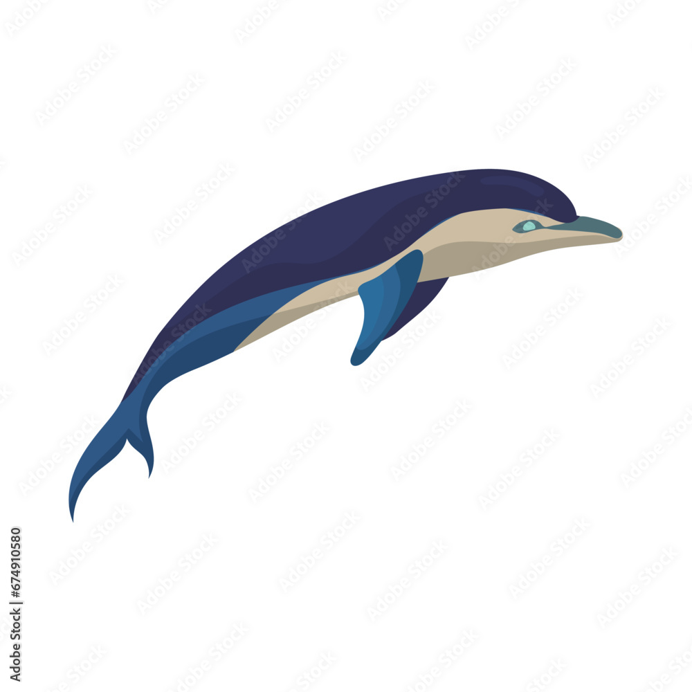 Fototapeta premium Isolated colored dolphin animal Vector