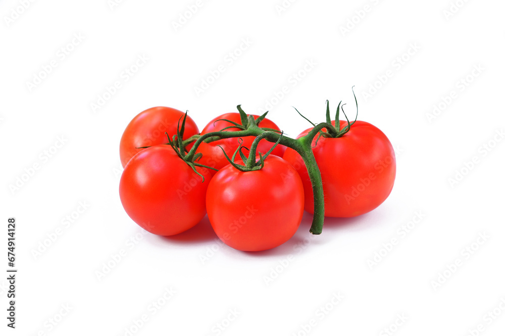 fresh tomatoes on a branch isolated on white background close up fresh tomatoes on a branch isolated on white background close up