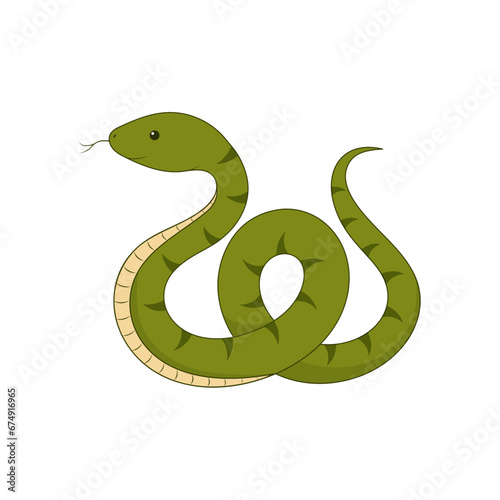 Cute green snake isolated on a white background. Symbol of the New Year 2025. Vector illustration