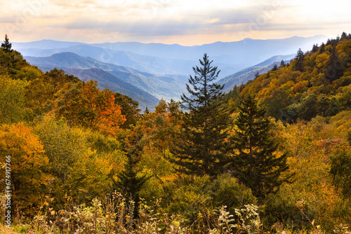 Beautiful Gold Autumn In The Smoky Mountains