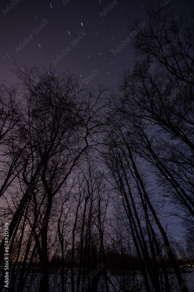 Starry nigth sky in winter in forest in Finland