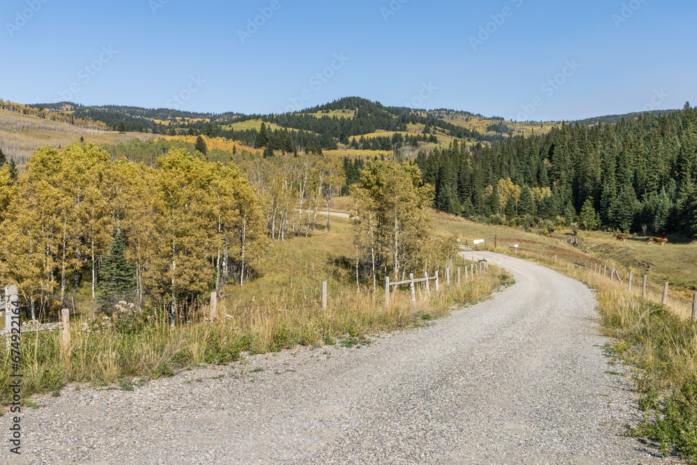 Alberta foothill landscape with approach to a ranche yelowish trees and blue sky