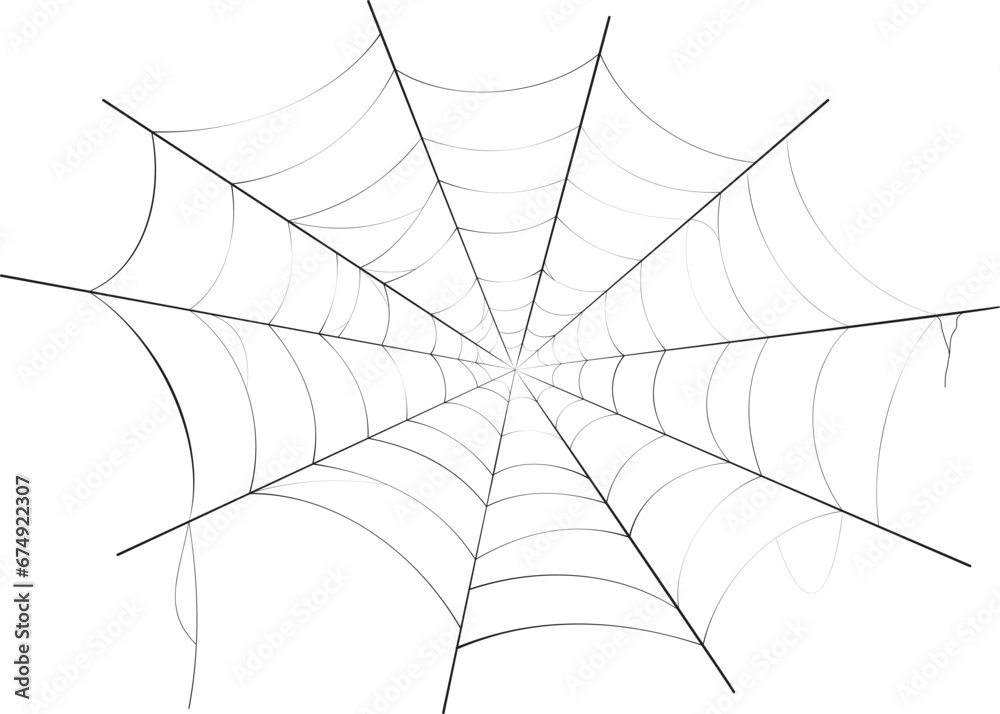 Realistic spider web background texture. Hanging cobweb for halloween design. Vector illustration