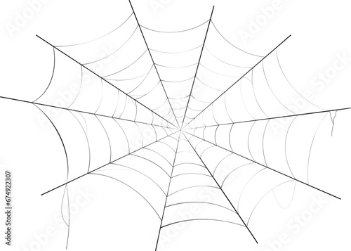 Realistic spider web background texture. Hanging cobweb for halloween design. Vector illustration