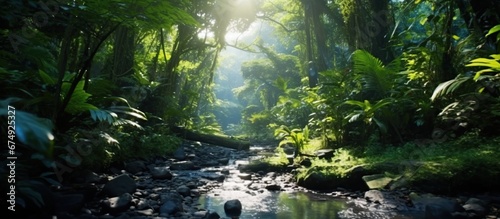 Beautiful jungle, hyper realistic natural