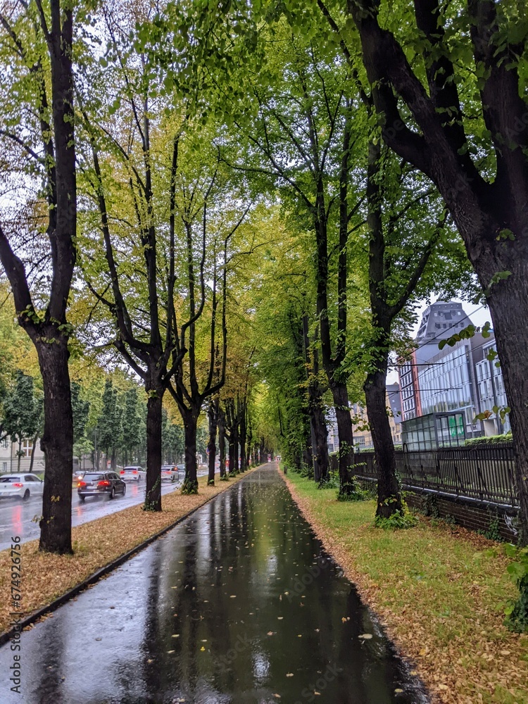 Wet street in Cologne on a rainy autumn day