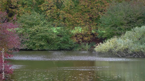 autumn in the park