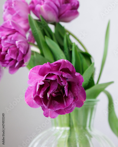Close up of bouquet of dark red lilac tulips in glass vase on light background. flower bouquet in vase on table. Gift interior decoration. florist, decorator. Flower shop. © MyJuly