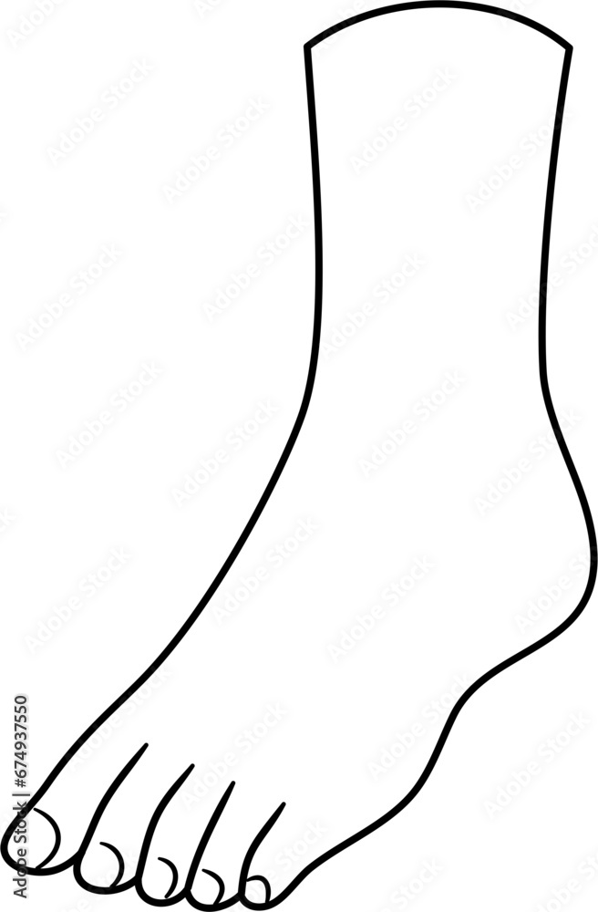 Obraz premium foot body part outline