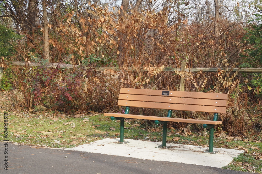 The leaves match the color of the brown bench. The leaves match the color of the brown bench.