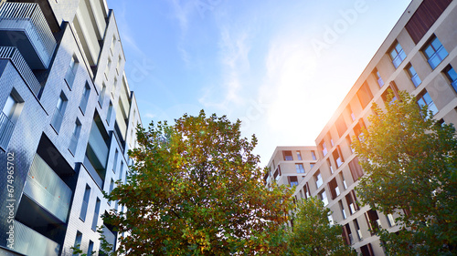 Modern residential area. Trees near the new apartment building. Nature friendly luxury real estate.