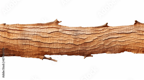 Long bark element light brown isolated on white background banner, space for design or text photo