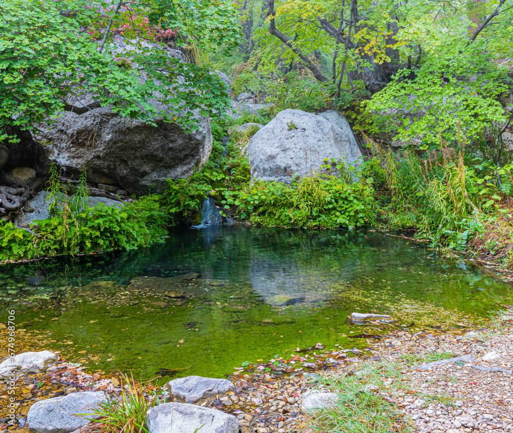 Smith Springs Flowing Into Small Pool Near Frijole Ranch, Guadalupe Mountains National Park, Texas, USA Smith Springs Flowing Into Small Pool Near Frijole Ranch, Guadalupe Mountains National Park, Texas, USA