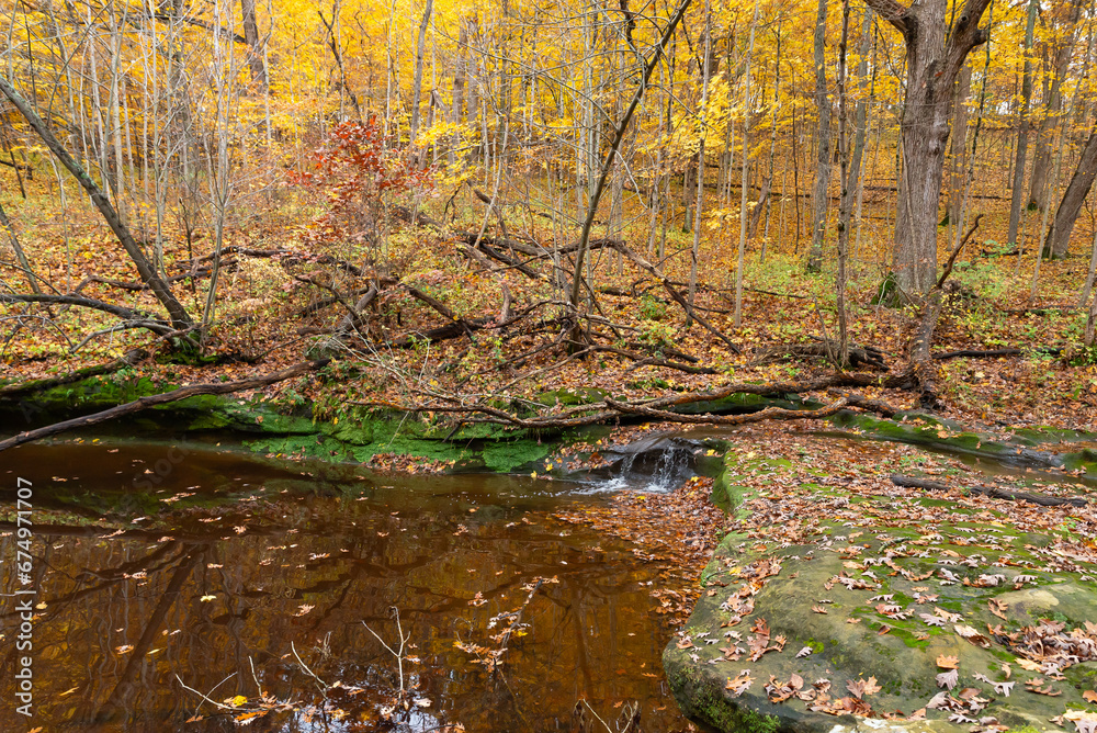 Autumn landscape in the woods.