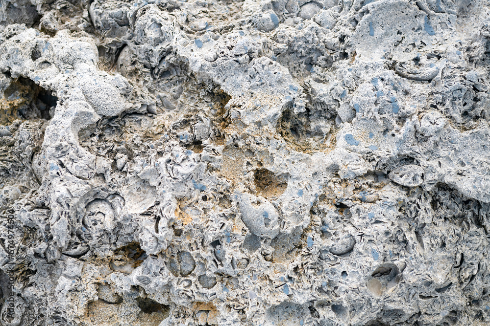 Fototapeta premium light limestone with traces of shells. Shell texture. Natural stone background