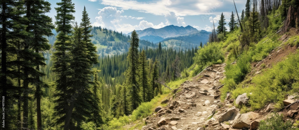 In the summer under the clear blue sky I embarked on a trekking adventure through the stunning wilderness of Colorado navigating through dense forests traversing snowy roads and conquering m In the summer under the clear blue sky I embarked on a trekking adventure through the stunning wilderness of Colorado navigating through dense forests traversing snowy roads and conquering m