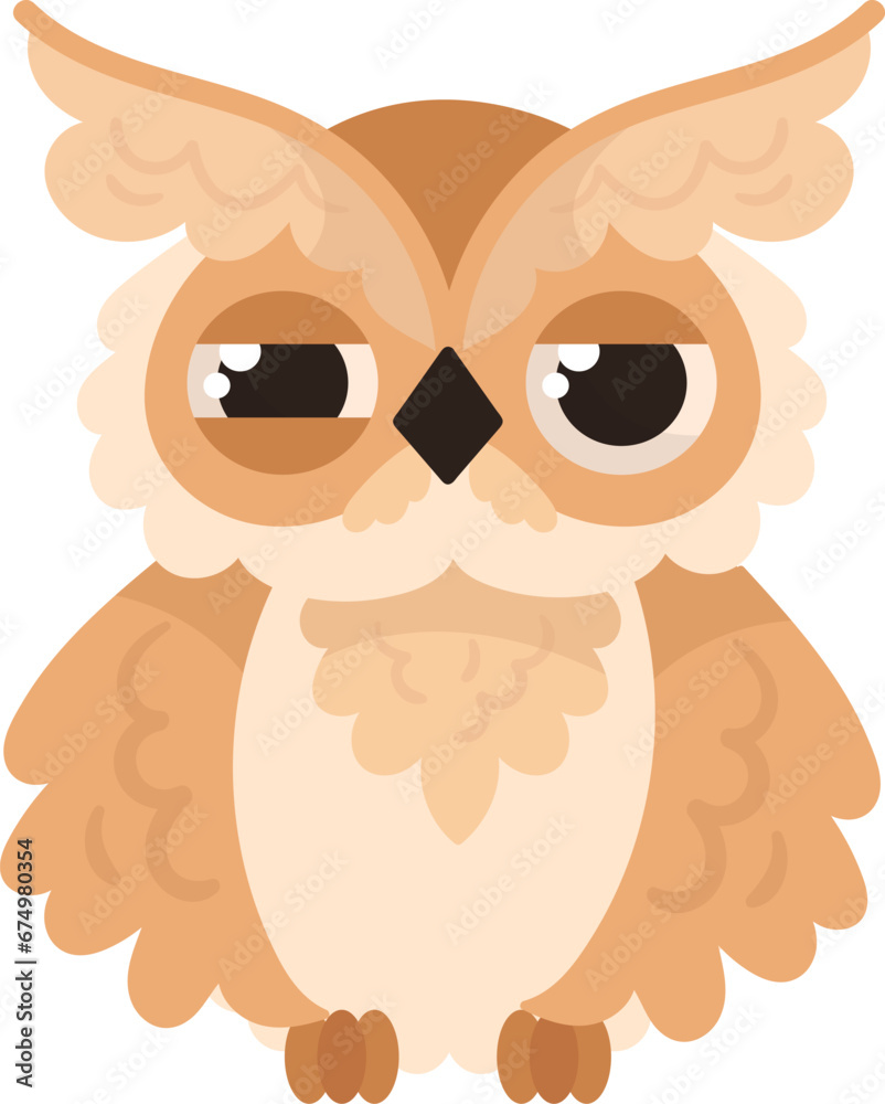 Owl Sleepy Bird Owl Sleepy Bird