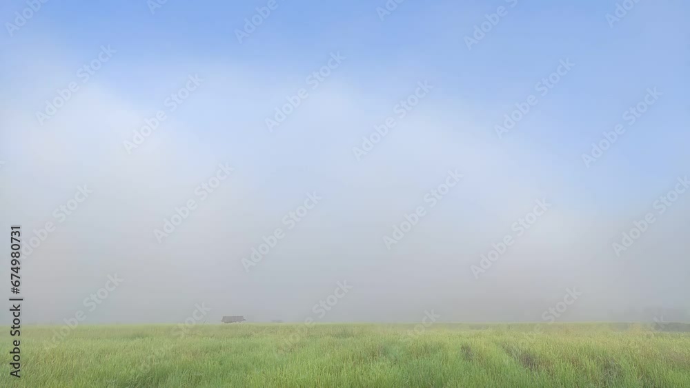 time lapse of the morning fog on rice field in Thailand time lapse of the morning fog on rice field in Thailand