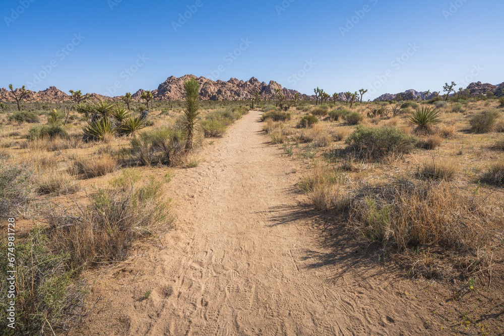 hiking the lost horse mine loop trail in joshua tree national park, california, usa